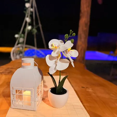 Vikendice Jovicic Pensionat